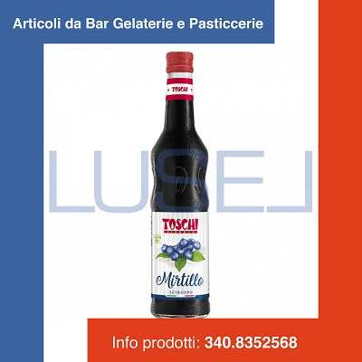 x GR 740 SCIROPPO AL MIRTILLO BLUEBERRY SYRUP PER GRANITE E COCKTAIL IN BOTTIGLIA